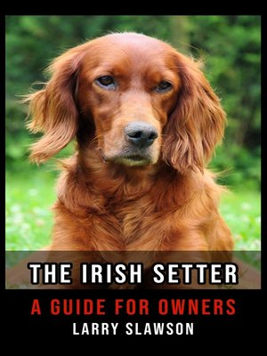 cover image of The Irish Setter